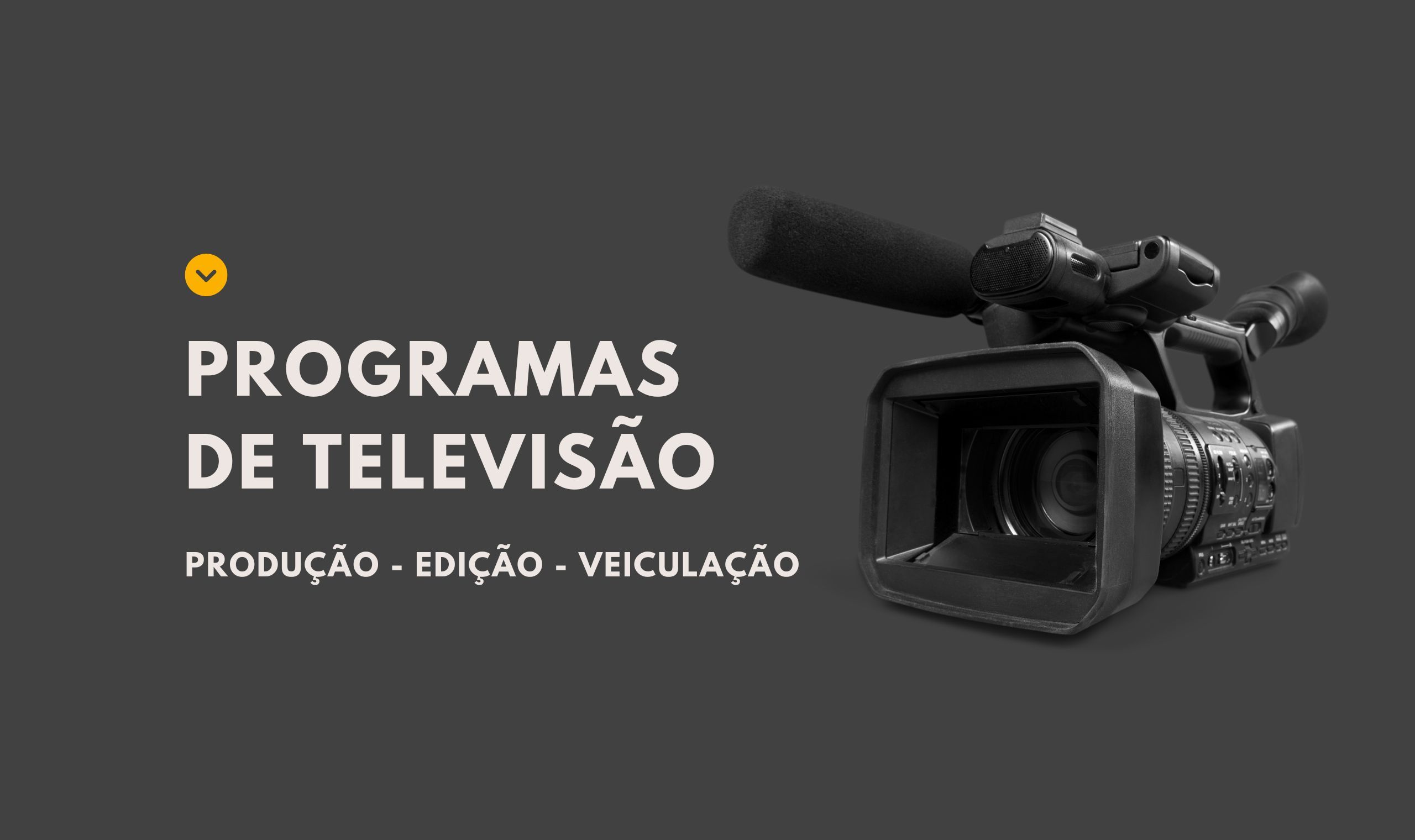 Programas de televisão